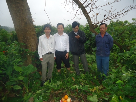 Dấu tích miếu thờ Nguyễn Hoàng ở Gio Linh, Quảng Trị